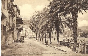 16 PHILIPPEVILLE - Les Palmiers de la Rue Ch. Blanchet