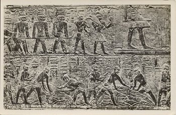 447 - Sakkara, Mural Reliefs in the Mastaba of Mereruka
