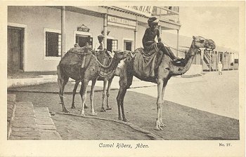 Camel Riders, Aden.