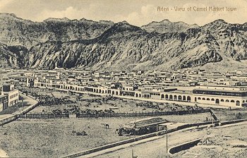 Aden - View of Camel Market town