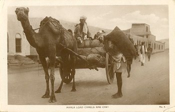 Sheik Said Tomb, Aden. No. 3