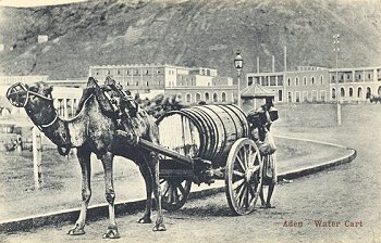 Aden Water Cart