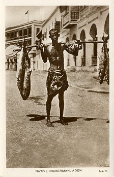 Native fisherman, Aden. No. 11