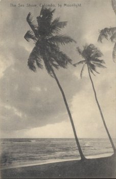 The Sea shore, Colombo, by Moonlight.