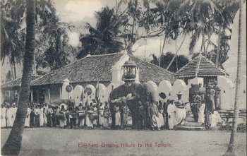 Elephant carrying tribute to the Temple.