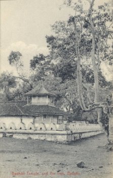 Budhist Temple and Bo Tree, Badulla