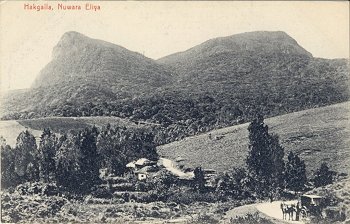 Hakgalla, Nuwara Eliya