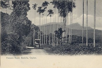 Passara Road, Badulla, Ceylon.