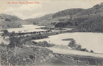 The Moon Plains, Nuwara Eliya.