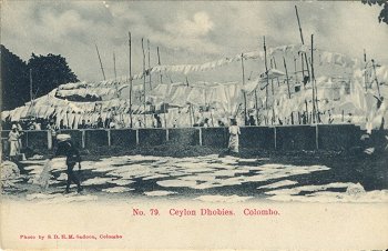 No. 79. Ceylon Dhobies. Colombo.