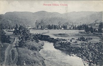 Nuwara Elliya, Ceylon