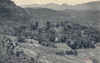 Scene from Railway to Kandy.