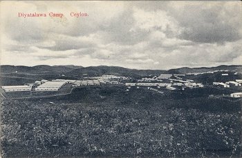 Diyatlawa Camp. Ceylon.
