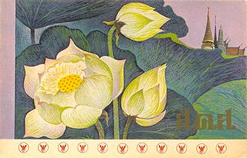 A postal stationery artist drawn postcard showing 3 white flowers against green foliage