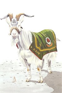 Taffy III, 1st Bn The Royal Regiment of Wales