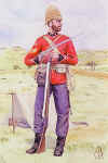 Colour Sergeant