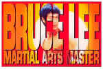 Martial Arts Master 1993