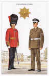 Coldstream Guards