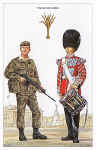 Welsh Guards