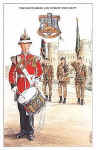 The Devonshire and Dorset Regiment