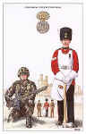 The Royal Welch Fusiliers