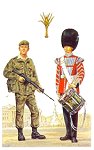 Welsh Guards