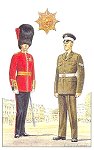 Coldstream Guards