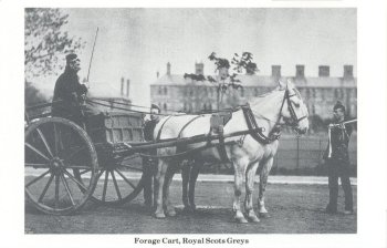 Forage Cart, Royal Scots Greys