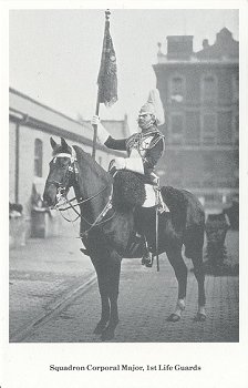 Squadron Corporal Major, 1st Life Guards