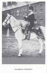 Drum Horse, 3rd Hussars