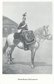 Drum horse, 9th Lancers