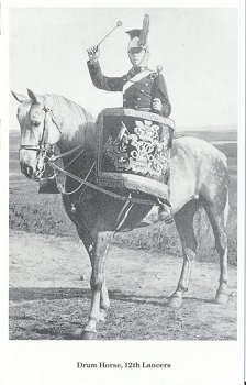 Drum horse, 12th Lancers