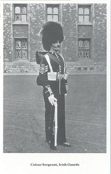 Colour Sergeant, Irish Guards