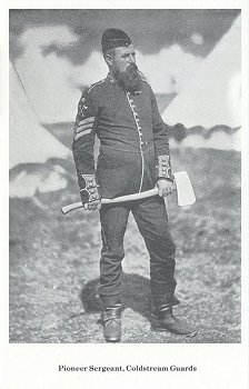 Pioneer Sergeant, Coldstream Guards