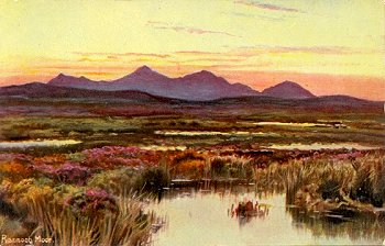 Rannoch Moor.