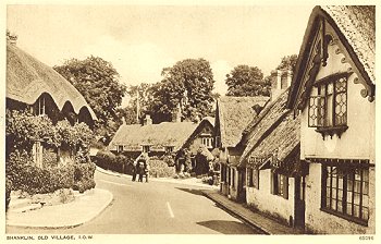 Shanklin, Old Village, I.O.W. 65096