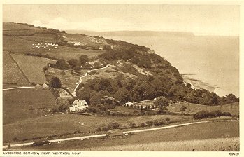 Luccombe Common, Near Ventnor, I.O.W. 69029