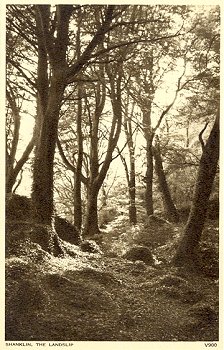 Shanklin, The Landslip V900