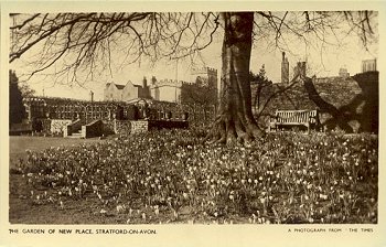 The Garden of New Place, Stratford-on-Avon