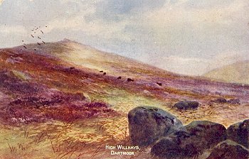 High Willhays, Dartmoor.