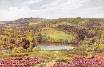 The Old Mill Pond from St John's Common, Crowborough