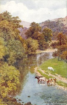 A Bend in the Wharfe at Bolton Abbey