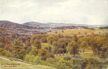 Leith Hill & Dorking from Box Hill