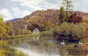 Boxhill, from Pixham Mill Pond