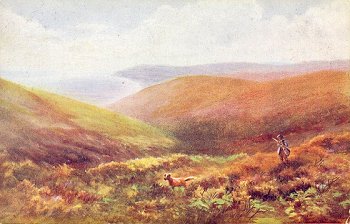 Exmoor near Porlock