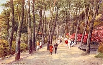The Pine Walk, Bournemouth by A. R. Quinton
