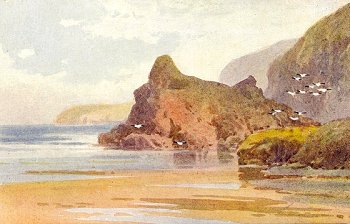 Flora Rock, Newquay. by F. W. Croxford