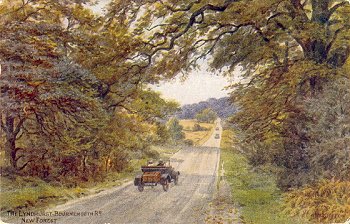 The Lyndhurst-Bournemouth Rd. New Forest