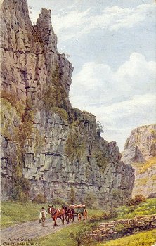 A Pinnacle, Cheddar Gorge