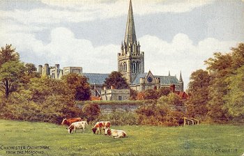 Chichester Cathedral from the Meadows